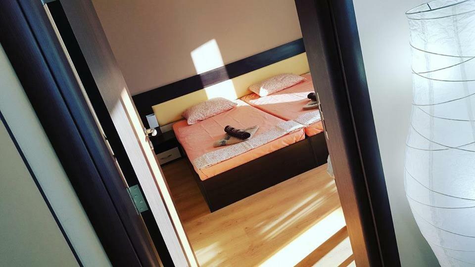 Апартамент Cacao Residence Slântsjev Brjag Eksteriør bilde